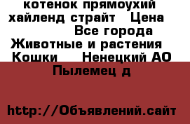 котенок прямоухий  хайленд страйт › Цена ­ 10 000 - Все города Животные и растения » Кошки   . Ненецкий АО,Пылемец д.